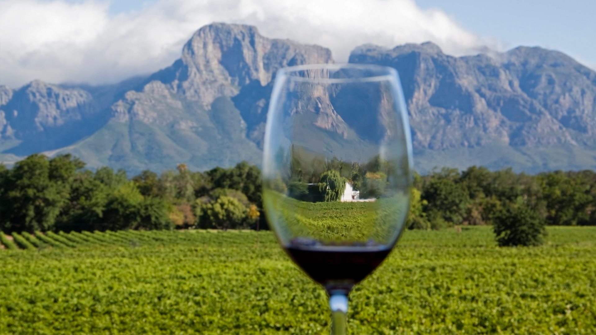 Golf, Wine & Safari