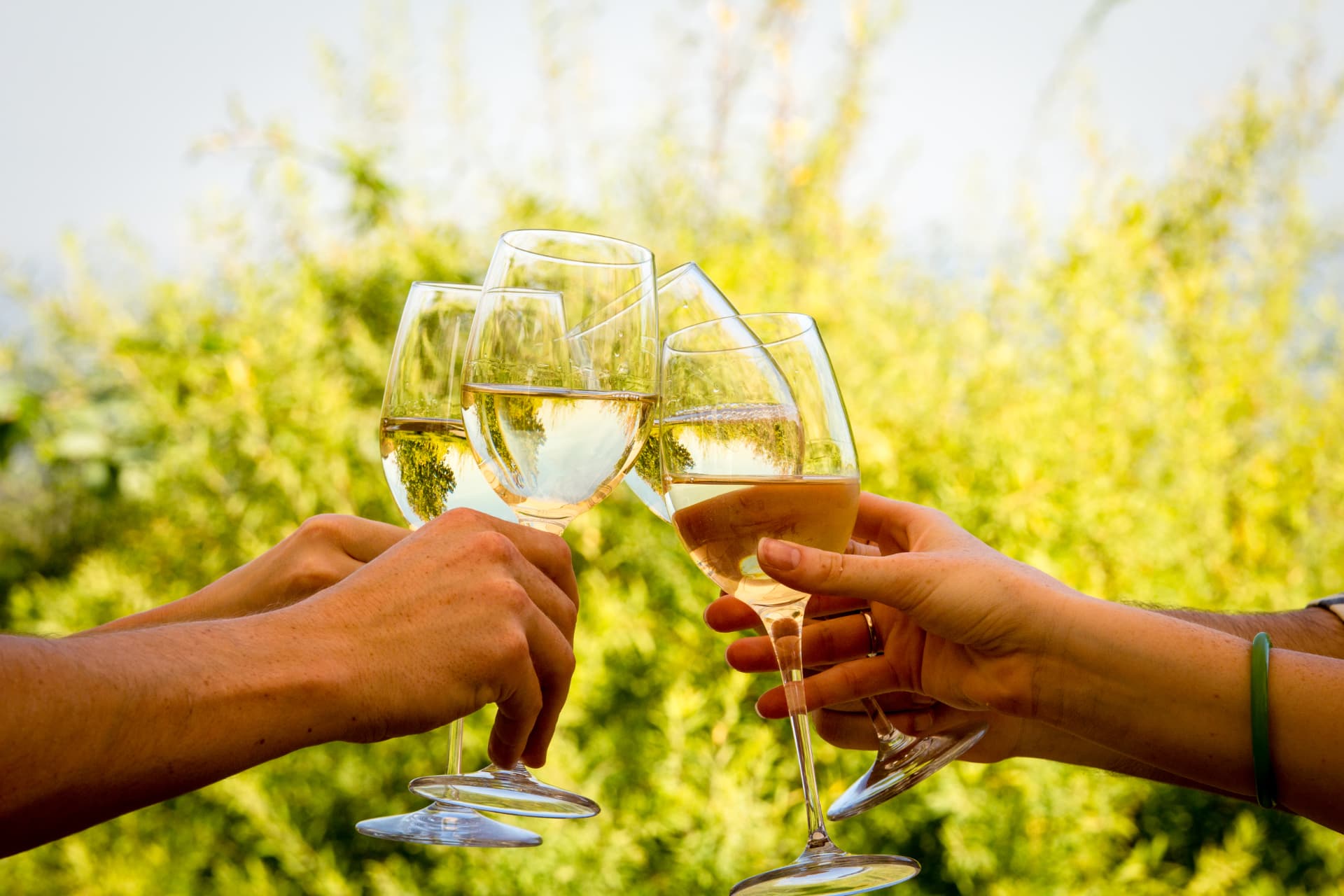 Wine