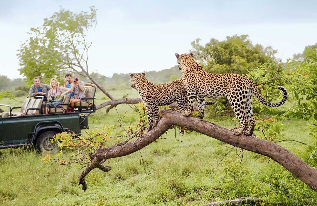 Sun City & Kruger